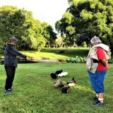 U3A Walking Group Program