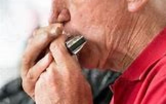 Harmonica - Every 2nd Friday - Starting 9th May 2025
